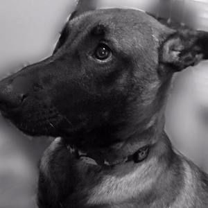 Meet your Posher, Billy